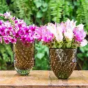 18576 - produto 2.webp